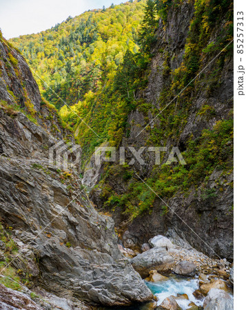 北アルプス黒部峡谷下の廊下の秋の風景 峡谷 北アルプス黒部峡谷下の廊下の秋の風景 峡谷 85257313