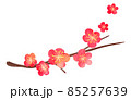 枝付き紅梅01（水彩画風イラスト） 85257639