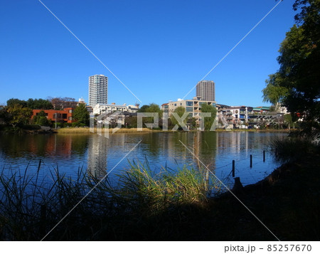 石神井公園 石神井公園 85257670