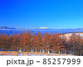 冬の霧ヶ峰高原冨士見台から望む木曽御嶽山 85257999