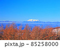 冬の霧ヶ峰高原冨士見台から望む木曽御嶽山 85258000