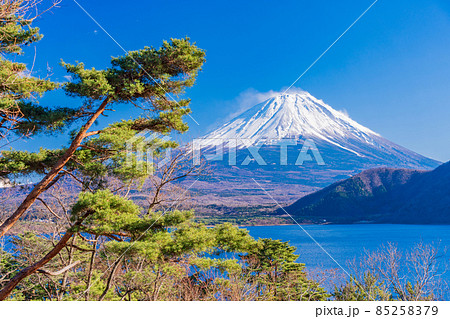【山梨県】本栖湖 湖畔の松と富士山 【山梨県】本栖湖 湖畔の松と富士山 85258379