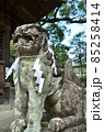 神社の狛犬 85258414