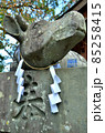 神社の牛の石像 85258415