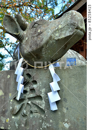 神社の牛の石像 85258415