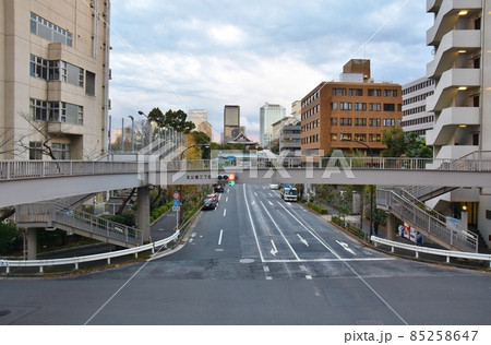 冬の芝公園三丁目交差点　東京 85258647