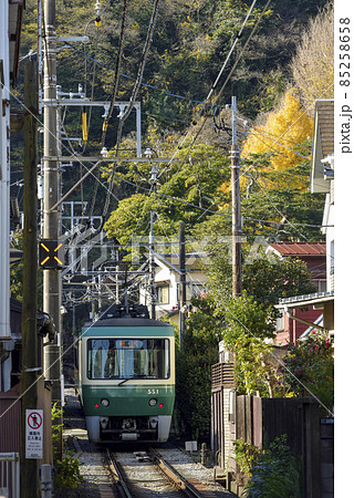 銀杏の黄葉と江ノ電【鎌倉市長谷駅付近】 晩秋 85258658