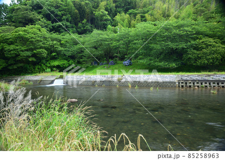 梅雨時期の伊豆・松崎町 梅雨時期の伊豆・松崎町 85258963