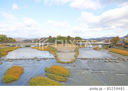 鴨川デルタ 85259481