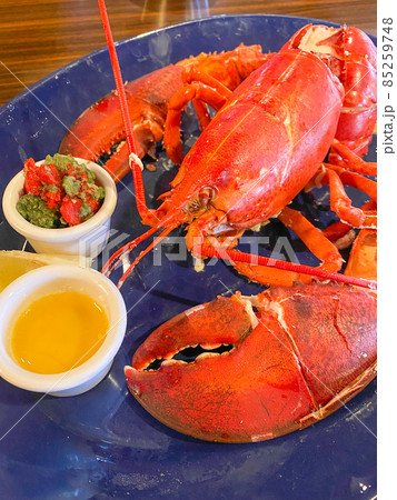 ライブロブスターのスチーム ライブロブスターのスチーム 85259748