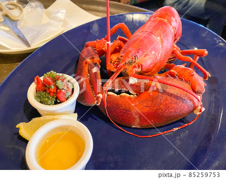 ライブロブスターのスチーム ライブロブスターのスチーム 85259753