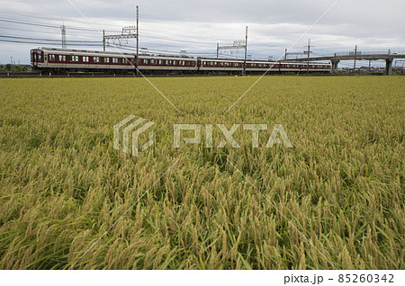 近鉄の急行列車(箕田~伊勢若松) 近鉄の急行列車(箕田~伊勢若松) 85260342