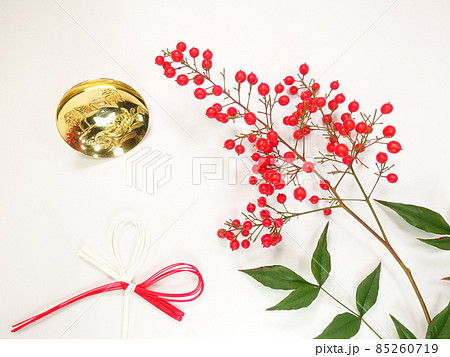 南天　ナンテン 85260719