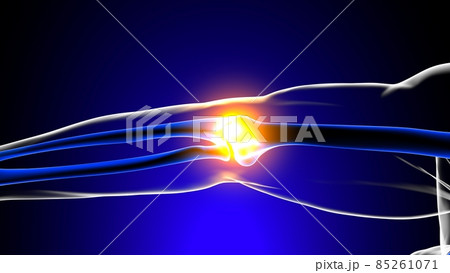 Elbow joint pain Anatomy For Medical Concept 3D Elbow joint pain Anatomy For Medical Concept 3D 85261071