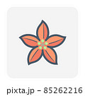 Poinsettia or Euphorbia pulcherrima vector icon.  85262216