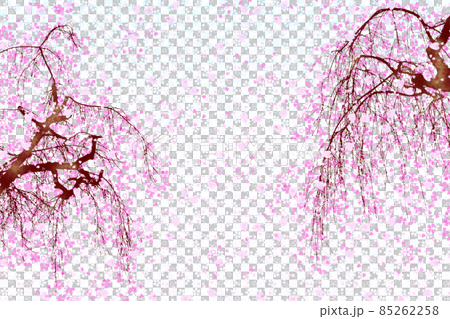 満開の2本のしだれ桜のイラスト素材