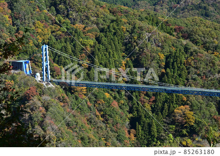 秋の茨城ハイキング 竜神大吊橋 バンジージャンプ 秋の茨城ハイキング 竜神大吊橋 バンジージャンプ 85263180