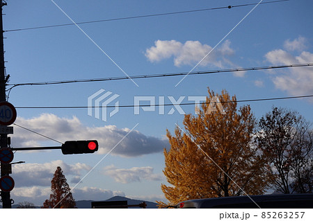 青空と雲と赤信号と道路標識と車と電線と黄色の銀杏の大樹と紅葉するメタセコイヤと冬枯れの木と山の風景 85263257