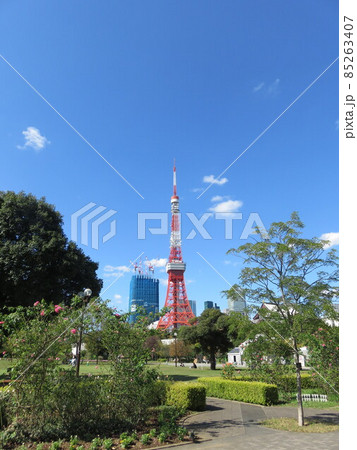 芝公園から見える東京タワー 85263407