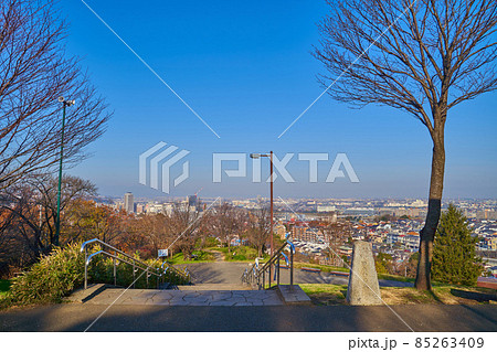 秋の東京都多摩市 桜ヶ丘公園のゆうひの丘から多摩市、府中市の街並みを見る 85263409