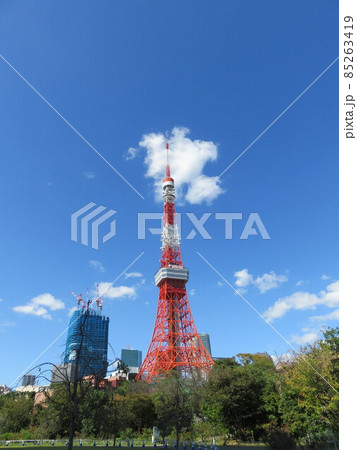 芝公園から見える東京タワー 85263419