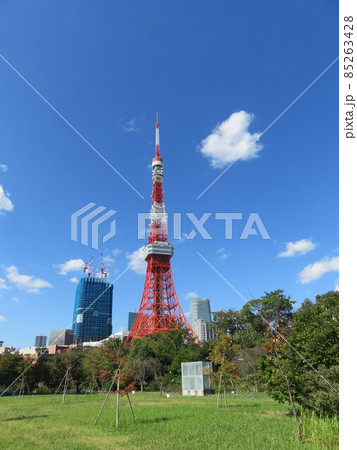芝公園から見える東京タワー 芝公園から見える東京タワー 85263428