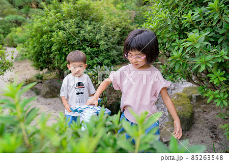 子供　男女　兄弟 85263548