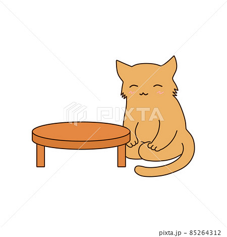 木製のテーブルの横で正座をする笑顔の茶色の猫 木製のテーブルの横で正座をする笑顔の茶色の猫 85264312