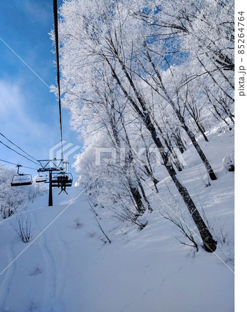 白馬47クワッドリフトから見る雪化粧の木々と青い空 85264764