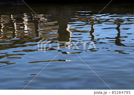 水面の映り込み模様 水面の映り込み模様 85264795