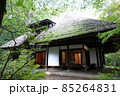 天山文庫（2021年9月） 85264831