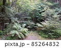 天山文庫（2021年9月） 85264832