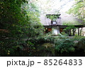 天山文庫（2021年9月） 85264833