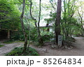 天山文庫（2021年9月） 85264834
