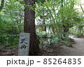 天山文庫（2021年9月） 85264835