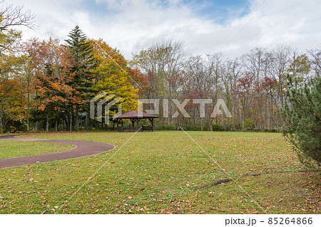 和琴半島・東屋 85264866