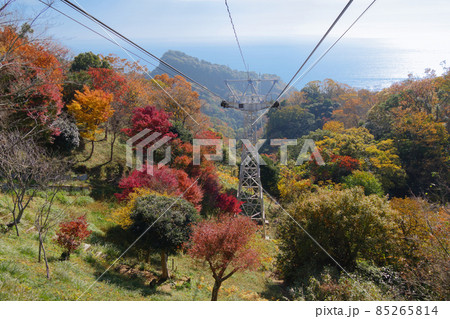 日本平ロープウェイの紅葉と駿河湾 日本平ロープウェイの紅葉と駿河湾 85265814