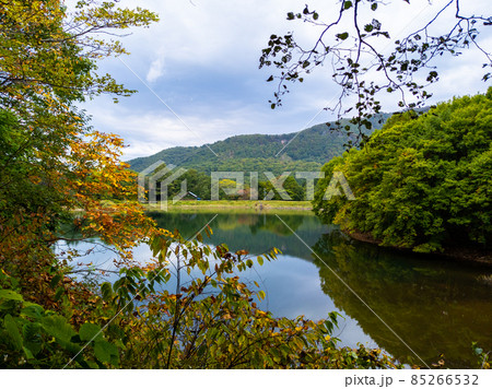 初秋の森に囲まれた静かな沼 (山形県、蔵王温泉、鴫の谷地沼) 初秋の森に囲まれた静かな沼 (山形県、蔵王温泉、鴫の谷地沼) 85266532
