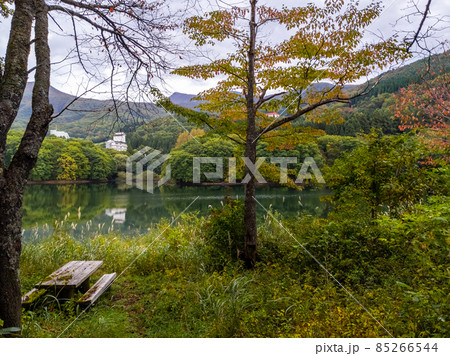 初秋の沼沿いの小さな休憩所 (山形県、蔵王温泉、鴫の谷地沼) 初秋の沼沿いの小さな休憩所 (山形県、蔵王温泉、鴫の谷地沼) 85266544