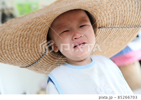 旅行 台湾 台北 85266703