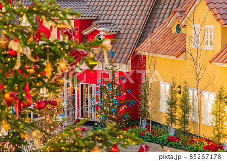 冬のデンパーク、クリスマスディスプレイ〈愛知県安城市〉 85267178