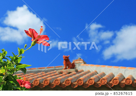 めんそーれ沖縄　青い空と赤いハイビスカスとシーサー 85267615