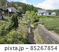 川根本町ののどかな川と山と茶畑の風景 85267854