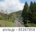 川根本町ののどかな山と茶畑の風景 85267858