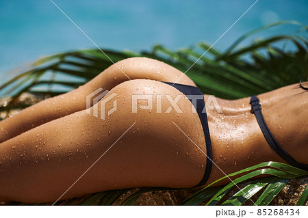 Close-up Female Unrecognizable Tanned Back and Buttocks in Black Bikini With Palm Leaf on Rocky Beach During Summer Vacation Outdoors 85268434