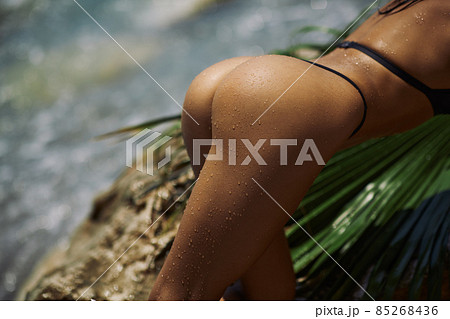 Close-up Female Unrecognizable Tanned Back and Buttocks in Black Bikini With Palm Leaf on Rocky Beach During Summer Vacation Outdoors Close-up Female Unrecognizable Tanned Back and Buttocks in Black Bikini With Palm Leaf on Rocky Beach During Summer Vacation Outdoors 85268436