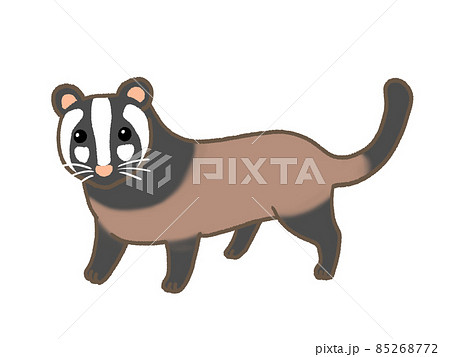 ハクビシン ハクビシン 85268772