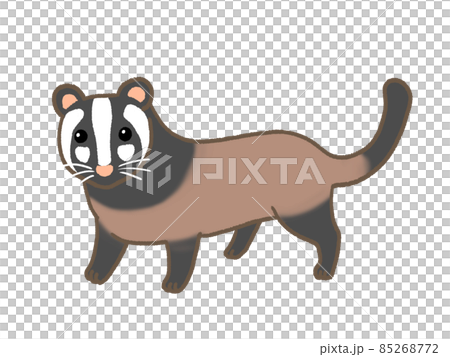 ハクビシン ハクビシン 85268772