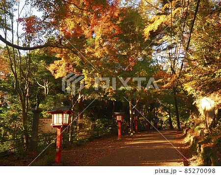 【東京】高尾山の紅葉 【東京】高尾山の紅葉 85270098