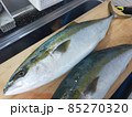 まな板の上の鰤 85270320